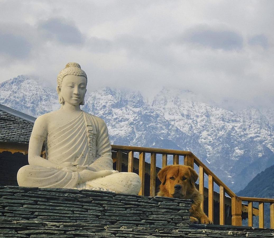Osho Himalayas Wellness Resort 康格拉 外观 照片